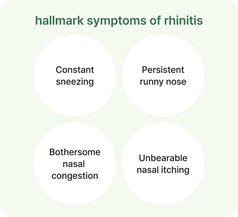 id Hospital - Septoplasty - Hypertrophic Rhinitis After