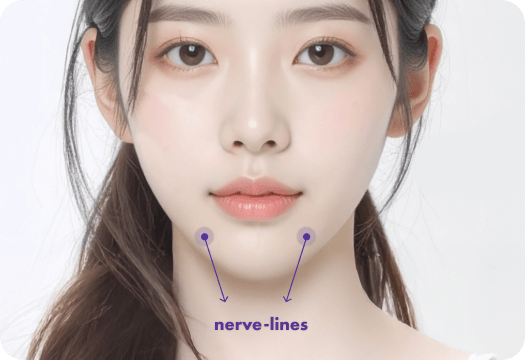 id Hospital - No-tie Orthognathic Surgery - 3D CT Scan Nerve Location